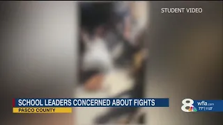 Pasco County school leaders concerned about fights