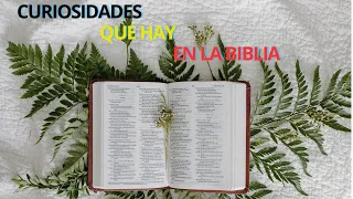 Curiosidades de la  Biblia