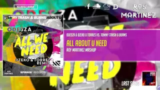 ODESZA & Dzeko & Torres vs Tommy Trash & Burns - All About U Need (Roy Martinez Mashup)