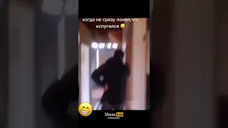 Ахаха 😹 #shorts #video #memes #рекомендации #топ #tiktok #приколы