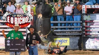 Grande FINAL do Rodeio É o Bicho Rodeio Festival - Rondonópolis MT 2024