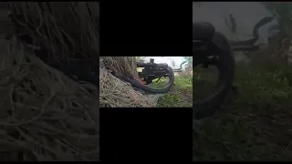 INDIAN ARMY SNIPER🔥VS KING COBRA 🐍 | DEADLY ENCOUNTER #shorts #defence #sigmarule