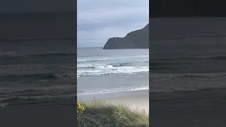 A couple lone surfers out at Allans beach 🏄‍♂️🏄‍♂️