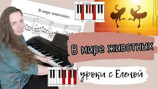 🔥 В МИРЕ ЖИВОТНЫХ на 🎹 для НАЧИНАЮЩИХ