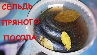 Сельдь пряного посола по-домашнему. Самый вкусный рецепт