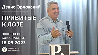 Денис Орловский - ВОСКРЕСНОЕ БОГОСЛУЖЕНИЕ 18.09.2022, тема "ПРИВИТЫЕ К ЛОЗЕ"