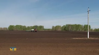 Почти половину полей засеяли в обществе "Тобол"