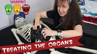 What happens to organs in the mortuary