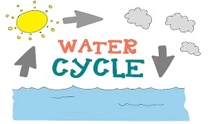 Water Cycle : The 3 phases Explained : Water Cycle Animation for Kids