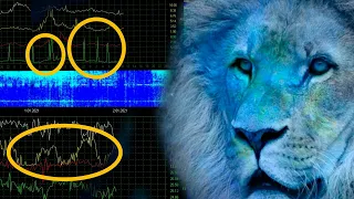 СУПЕР Частота Шумана Резонанс обзор на 1.1.2021 и 2.1.2021 график частоты удивляет( 8 гц и 14 гц)