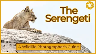 Serengeti - A Wildlife Photographer's Guide