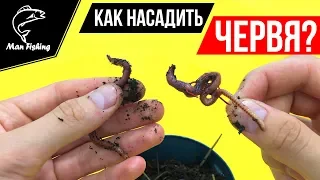 Как насадить ЧЕРВЯ на крючок?! 3 способа! Ловля КАРПА, КАРАСЯ, ЛЕЩА, ПЛОТВЫ🐟