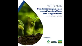 Uso de microorganismos benéficos específicos para la agricultura: suelo agua y planta