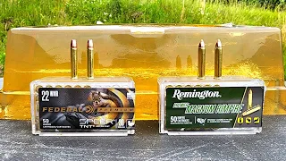 Federal Speer TNT .22WMR vs Remington Accutip .22WMR Ballistic Gel Test