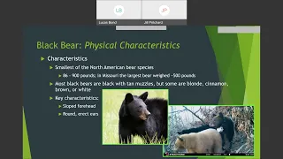 Wild Webcast - Missouri is Bear Country (2022.05.11)