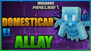 COMO DOMESTICAR AL ALLAY  | INICIANDO MINECRAFT Ep 82