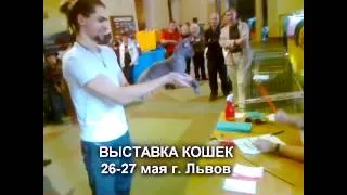 Выставка кошек Львов. 26-27 мая 2012 г..mp4