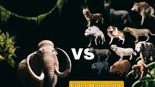 FarCry Primal elder mammoth vs dhols Cats wolfes & bear  #PlayHard #LevelUp #PixelPower