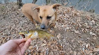 Exploring Little River, NC. Multi-Species Fishing and Off Trail Hiking