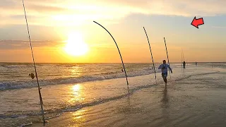 Surf Fishing Chaos... Is This For Real?!