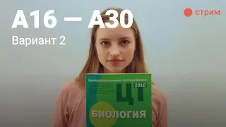 ЦТ по биологии А15-A30 (Вариант 2)