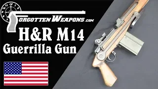 H&R's Experimental M14 Guerrilla Gun