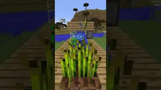 Rate this Satisfying Minecraft Video...