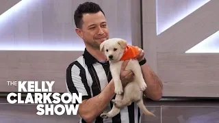 The Puppy Bowl Takes Over 'The Kelly Clarkson Show'
