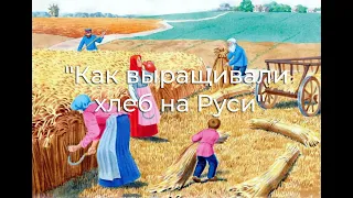 Как выращивали хлеб на Руси