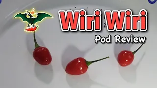 Wiri Wiri - Pod Review - 2020 Pepper Reviews