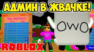 ШОК! ПОЛУЧИЛ АДМИН ПЕТА SYLENTLY'S  PET! СИМУЛЯТОР ЖВАЧКИ РОБЛОКС! BUBBLE GUM SIMULATOR