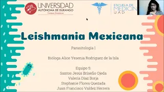 Leishmania mexicana