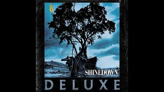 Shinedown - Simple Man (Rock Version) [Audio]