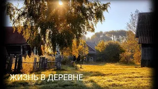 ПОРЯДОК НА СКОТНОМ ДВОРЕ/ УРОЖАЙ ЛУКА/ИЛЛЮМИНАТОР В КУРЯТНИКЕ/