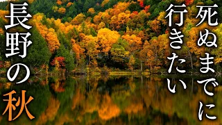 33 Spectacular Spots for Autumn Foliage in Nagano - JAPAN in 4K