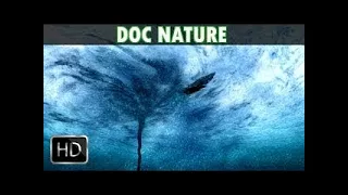 ▶Les plus grandes catastrophes naturelles. DOCUMENTAIRE NATURE