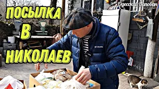 ОДЕССА/ ТЯЖЕЛОЕ УТРО 21 МАРТА/ И ХОРОШИЙ ДЕНЬ/ ПОСЫЛКА НА НИКОЛАЕВ