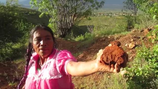 Como Hacer una Olla en San Marcos Tlapazola