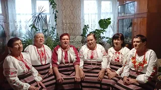 Українська народна пісня " Промайнула доля " ансамбль " Павлівчанка" с. Павлівка.