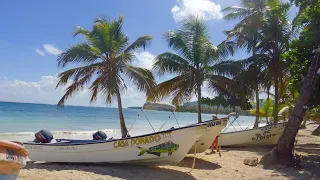 Samana 🇩🇴 beach tour 4K