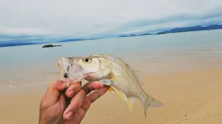 PESCARIA DE ROBALO EM PRAIA / PESCA ULTRALIGHT COM MICRO CAMARÃO