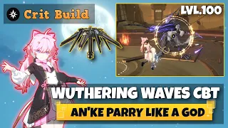 Anke Parry No Hit Endgame Boss - Wuthering Waves Gameplay