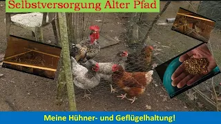 Meine Hühner- und Geflügelhaltung!