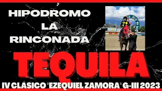 IV Clásico "EZEQUIEL ZAMORA" G-III 2023 - TEQUILA - Hipódromo La Rinconada - C395