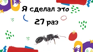 Этот БОТАН сделал это 27 раз!  Матки муравья Messor structor (муравьи-жнецы).Распаковка.