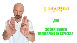 3 самые эффективные мудры от стресса