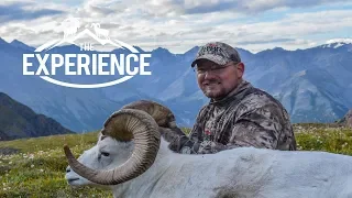 Dan Catlin Dall Sheep 2013 Vault Film