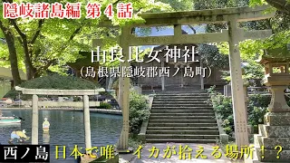 西ノ島の由良比女神社 そこは大量のイカが押し寄せる場所！？【隠岐諸島編 第４話】