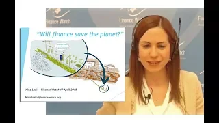 Will finance save the planet? A Finance Watch webinar