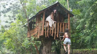 Our Tiny Home Treehouse Escape